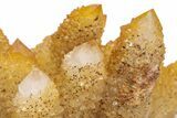Sunshine Cactus Quartz Crystal Cluster - South Africa #217973-2